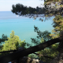 фото из отзыва ID 697867