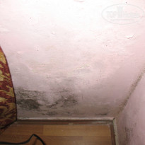 фото из отзыва ID 697959