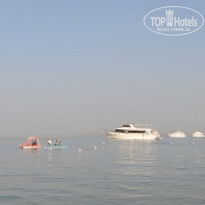 фото из отзыва ID 697450