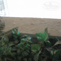 фото из отзыва ID 698076