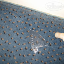 фото из отзыва ID 698076