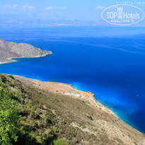 фото из отзыва ID 698648