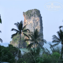 фото из отзыва ID 698753