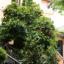 фото из отзыва ID 698254