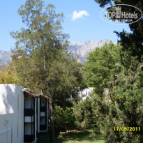 фото из отзыва ID 699838