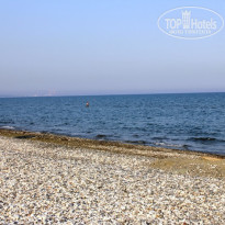 фото из отзыва ID 699052