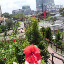 фото из отзыва ID 699089