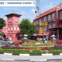 фото из отзыва ID 699089