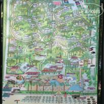 фото из отзыва ID 699371