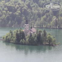 фото из отзыва ID 699388