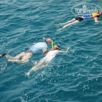 фото из отзыва ID 699422