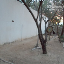 фото из отзыва ID 699283