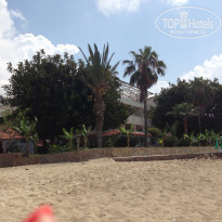 фото из отзыва ID 699587