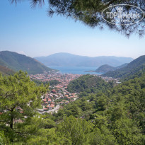 фото из отзыва ID 699798