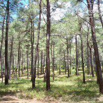 фото из отзыва ID 699798