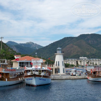 фото из отзыва ID 699798