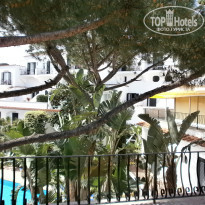 фото из отзыва ID 699893