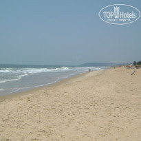 фото из отзыва ID 699911