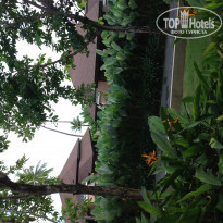 фото из отзыва ID 699158