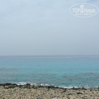 фото из отзыва ID 700741