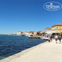 фото из отзыва ID 700780