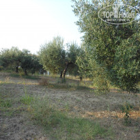 фото из отзыва ID 700723