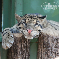 фото из отзыва ID 701718