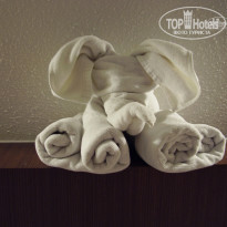 фото из отзыва ID 701516