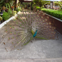 фото из отзыва ID 701516