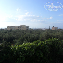 фото из отзыва ID 701746