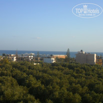 фото из отзыва ID 701746