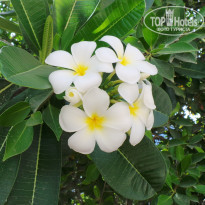 фото из отзыва ID 701901