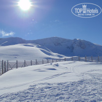 фото из отзыва ID 702215