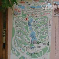 фото из отзыва ID 702624