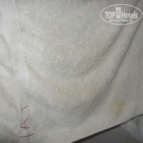 фото из отзыва ID 70288