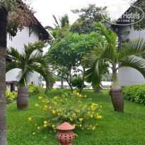 фото из отзыва ID 703067