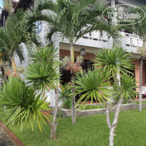 фото из отзыва ID 703067