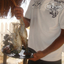 фото из отзыва ID 703260