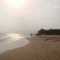 фото из отзыва ID 703260