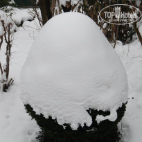 фото из отзыва ID 703398