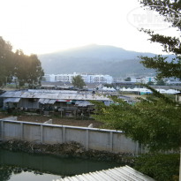 фото из отзыва ID 703584