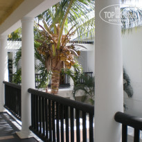 фото из отзыва ID 703593