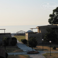 фото из отзыва ID 703692