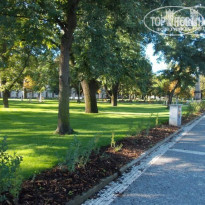 фото из отзыва ID 703707