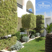 фото из отзыва ID 703818