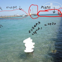 фото из отзыва ID 703946