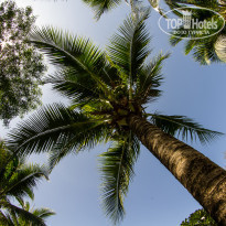 фото из отзыва ID 703746