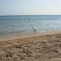 фото из отзыва ID 70306