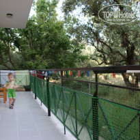 фото из отзыва ID 704045