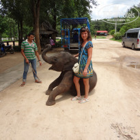 фото из отзыва ID 704130